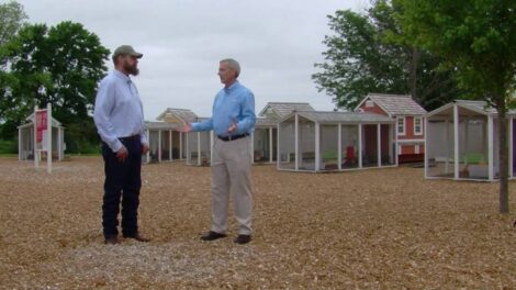 Biosecurity for Backyard Chickens (Video) Image
